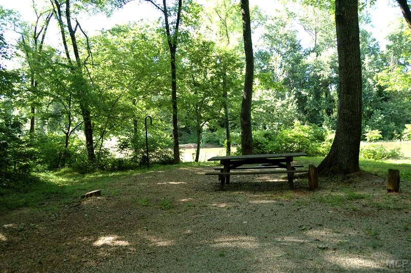 Markham Springs Campground Mark Twain National Forest (MO)