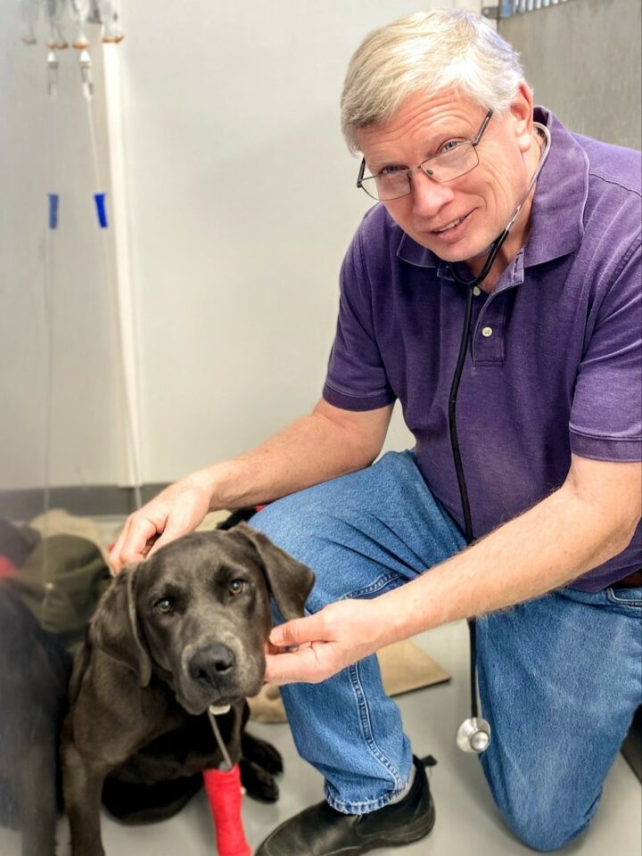 Forest City Veterinary Clinic Dedicated Vet Care in IA