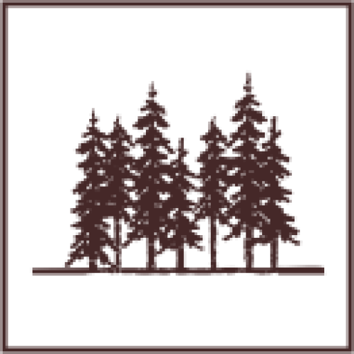 Information Forest Creek