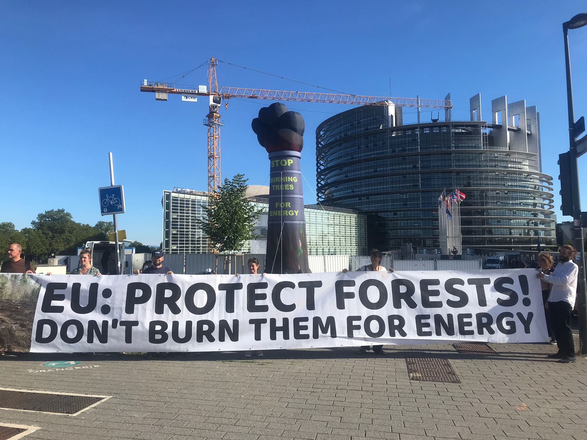 European Parliament vote signals the beginning of the end for forest