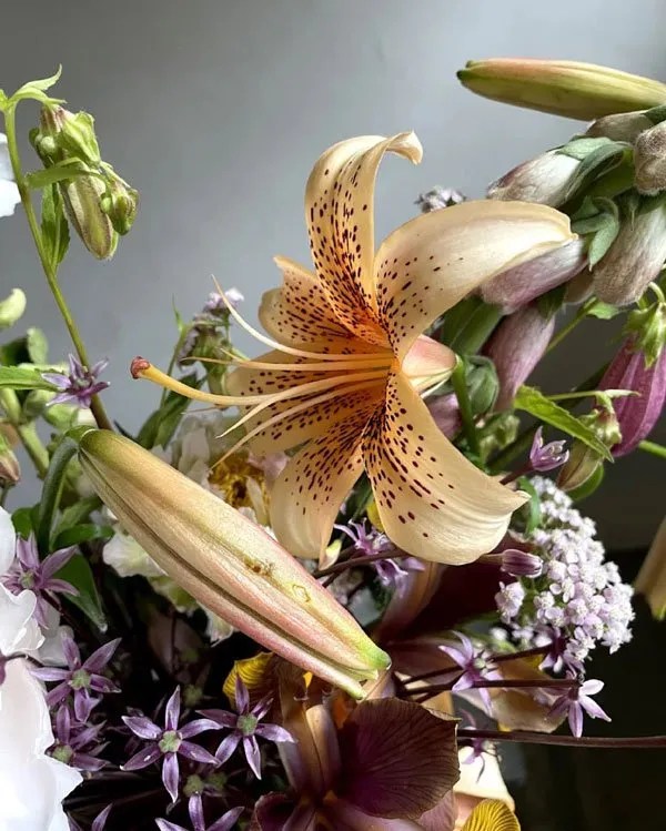 Flower Delivery Kilmainham Archives Forest Green