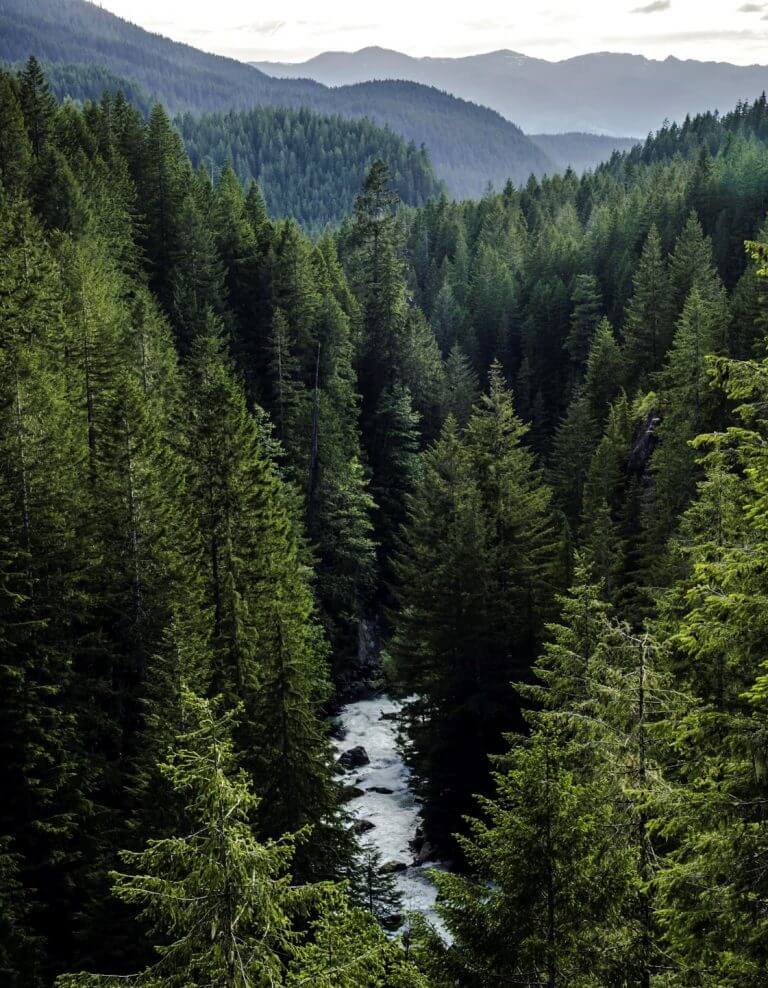 55+ Manufactured Home Community Cornelius OR Forest Hills