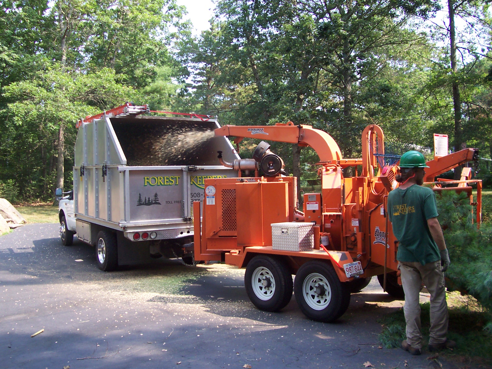 Tree removal Yarmouth Cape Cod Tree Service