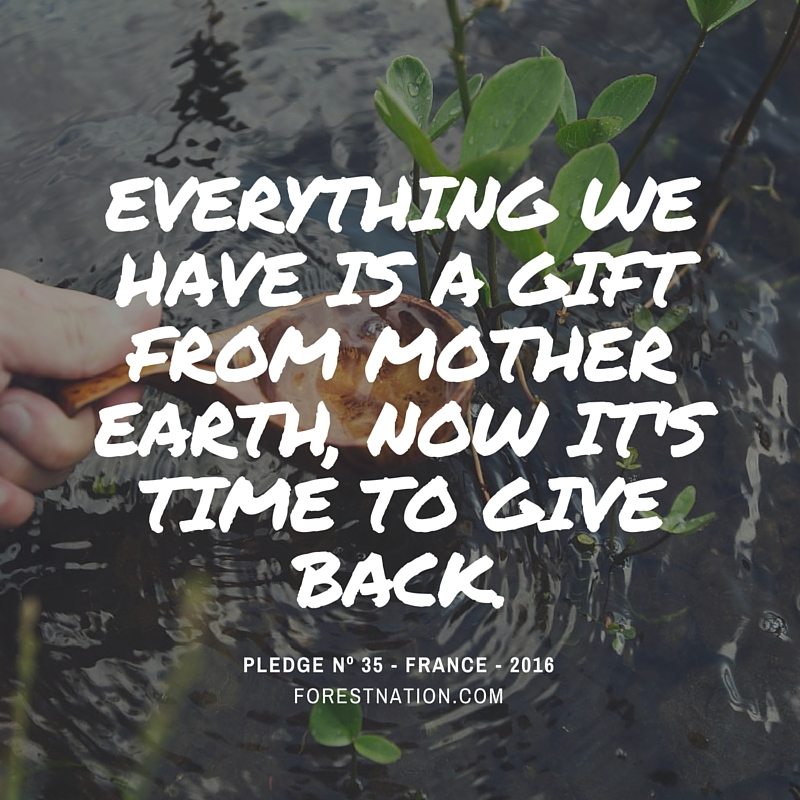 A Gift from Mother Earth ForestNation