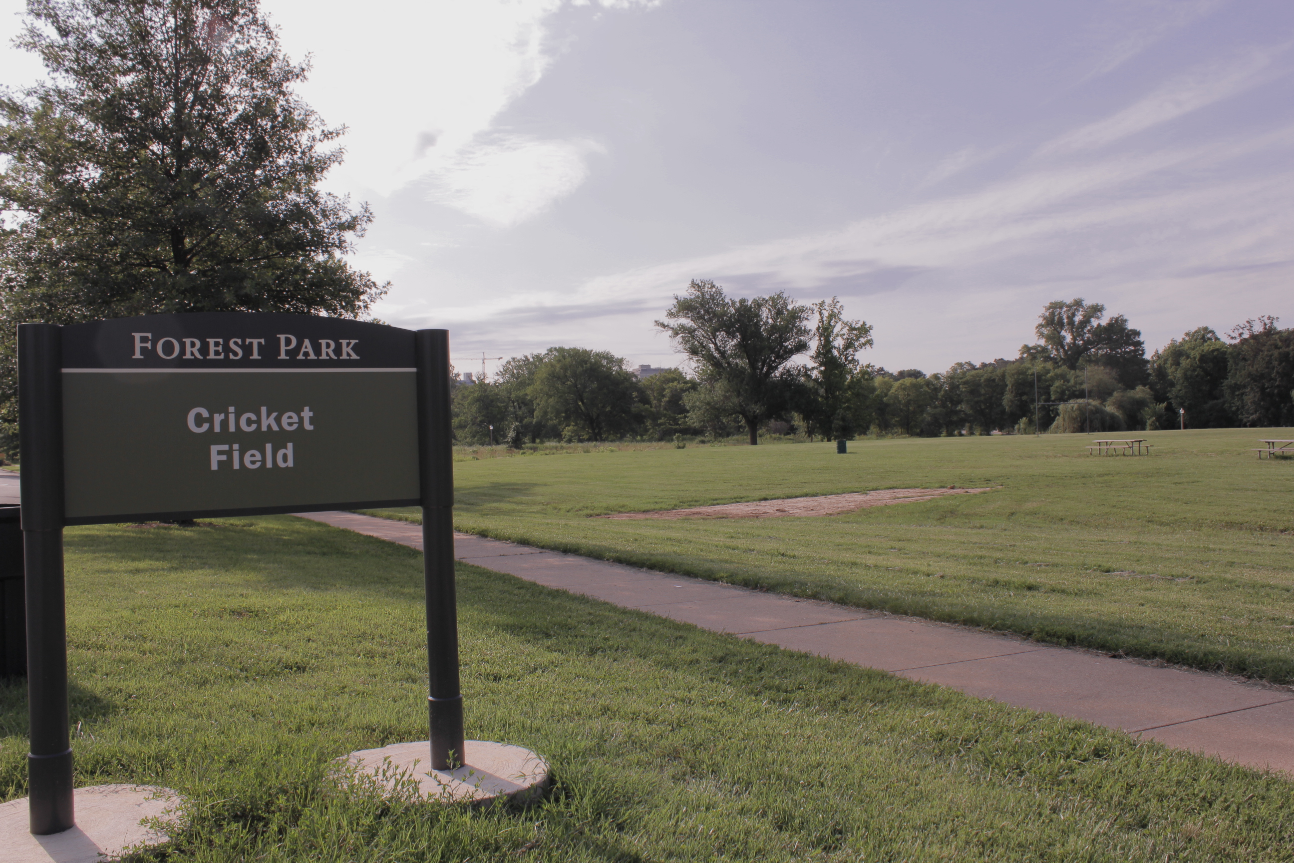 Cricket Field Forest Park Forever