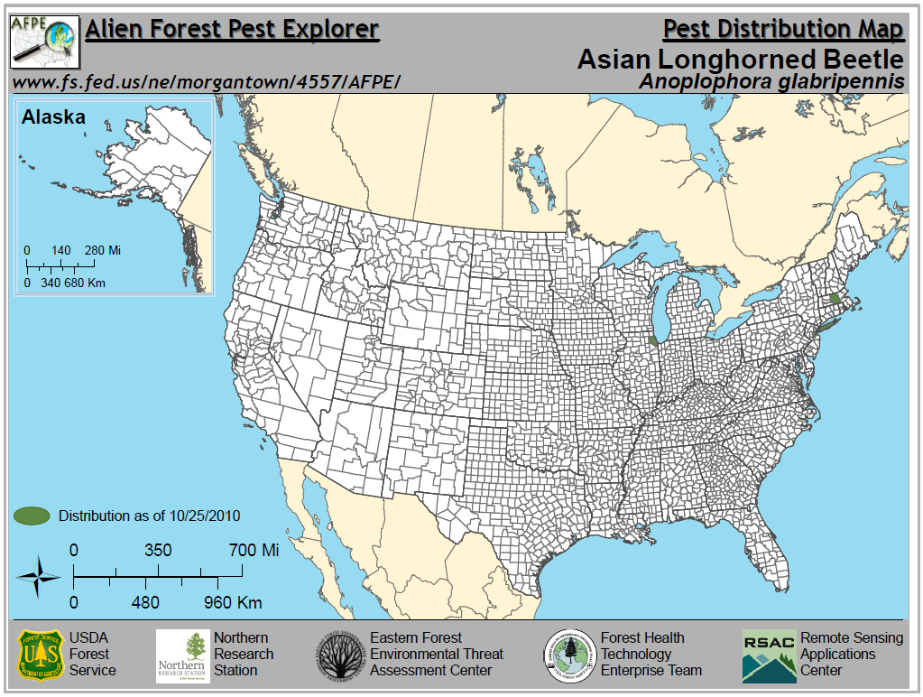Asian Longhorned Beetle (ALB) Ohio Department of Agriculture