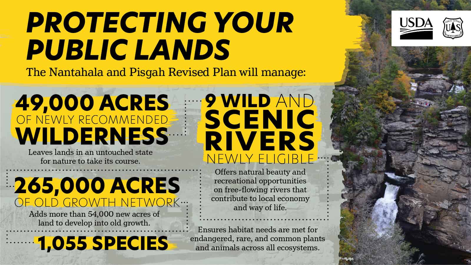 NantahalaPisgah forest plan revision done The Smokey Wire