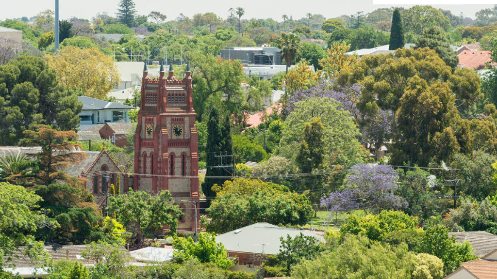 Forestree Case Study Town of Walkerville