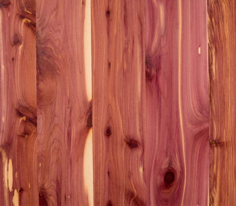 Cedar, Aromatic, Random Matched Forestree
