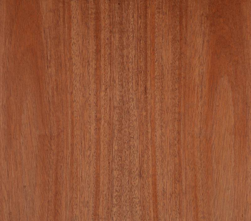 Mahogany, African, FC Forestree