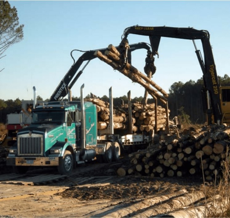 2017 Economic Contribution of the Forest Sector in North Carolina NC