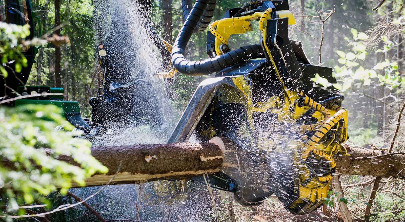 Verwaltung von Forstbetrieben mit den besten Lösungen Trimble Forestry