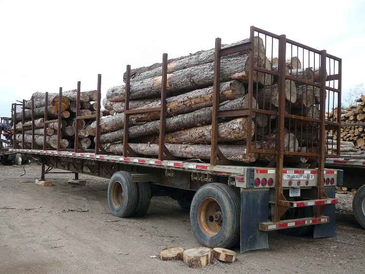 Transcraft 48' Spread Axle Flatbed 5 Bunk Log Trailer
