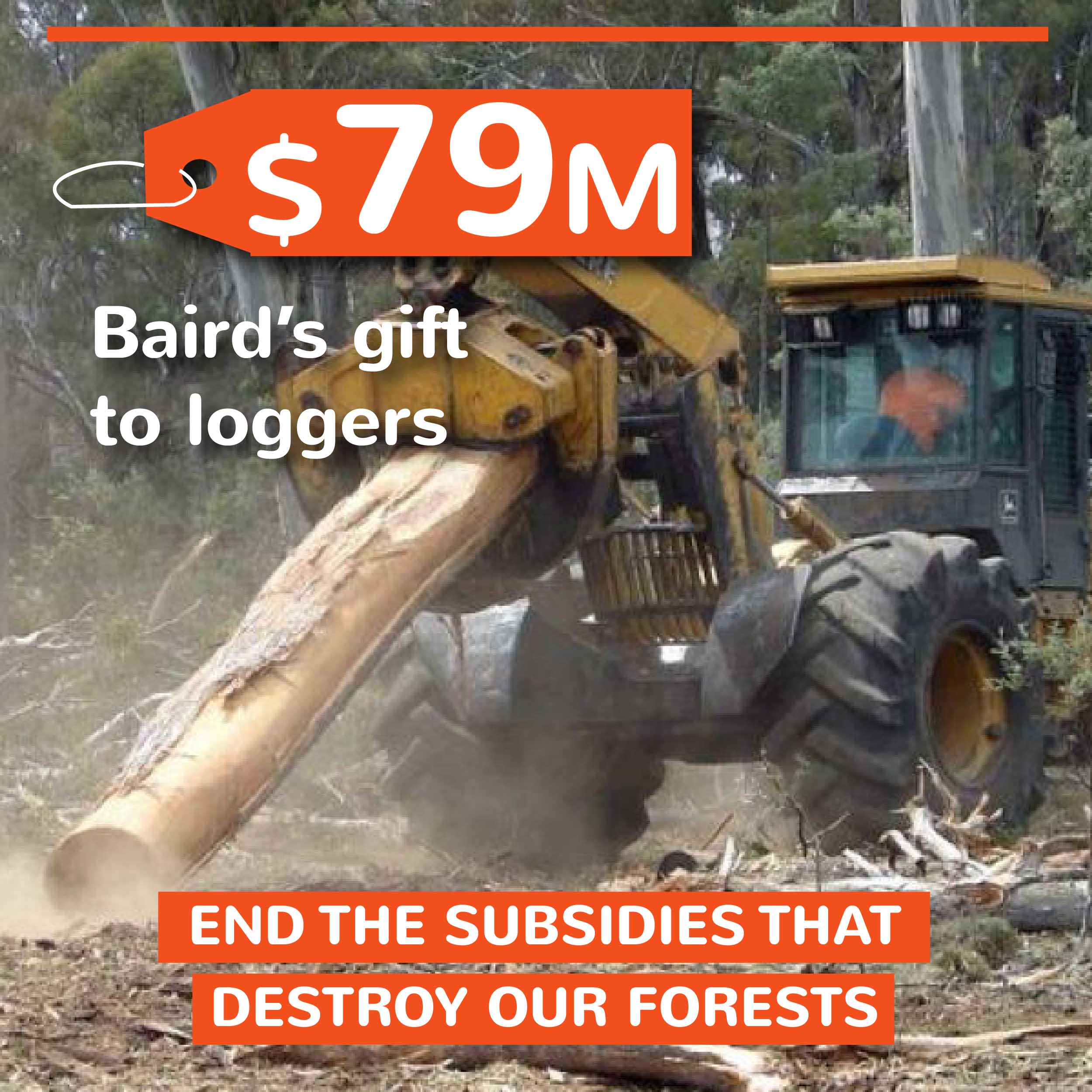 Resources NSW Australian Forests & Climate Alliance