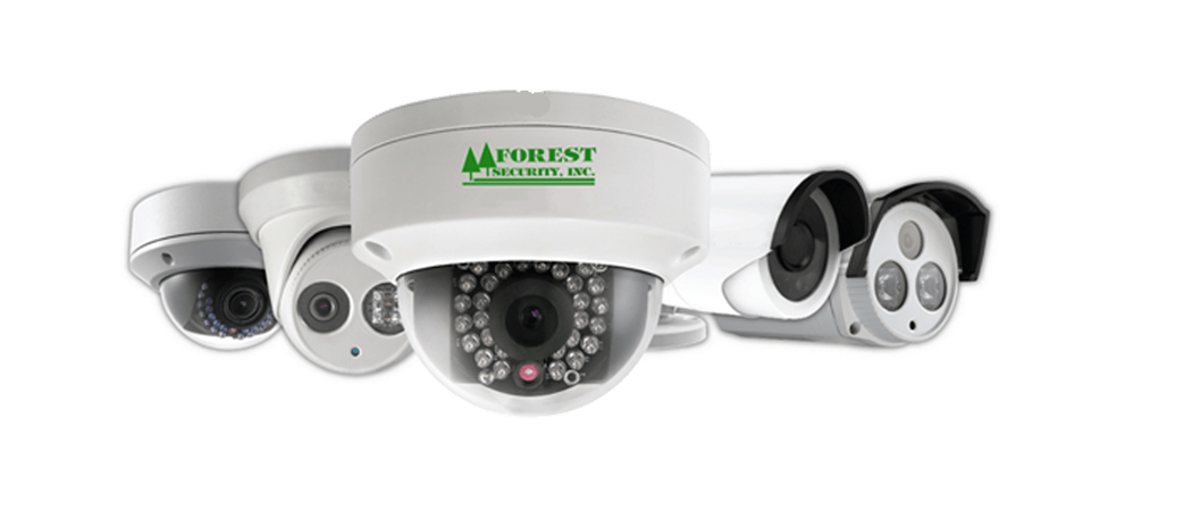 Cameras Forest Security
