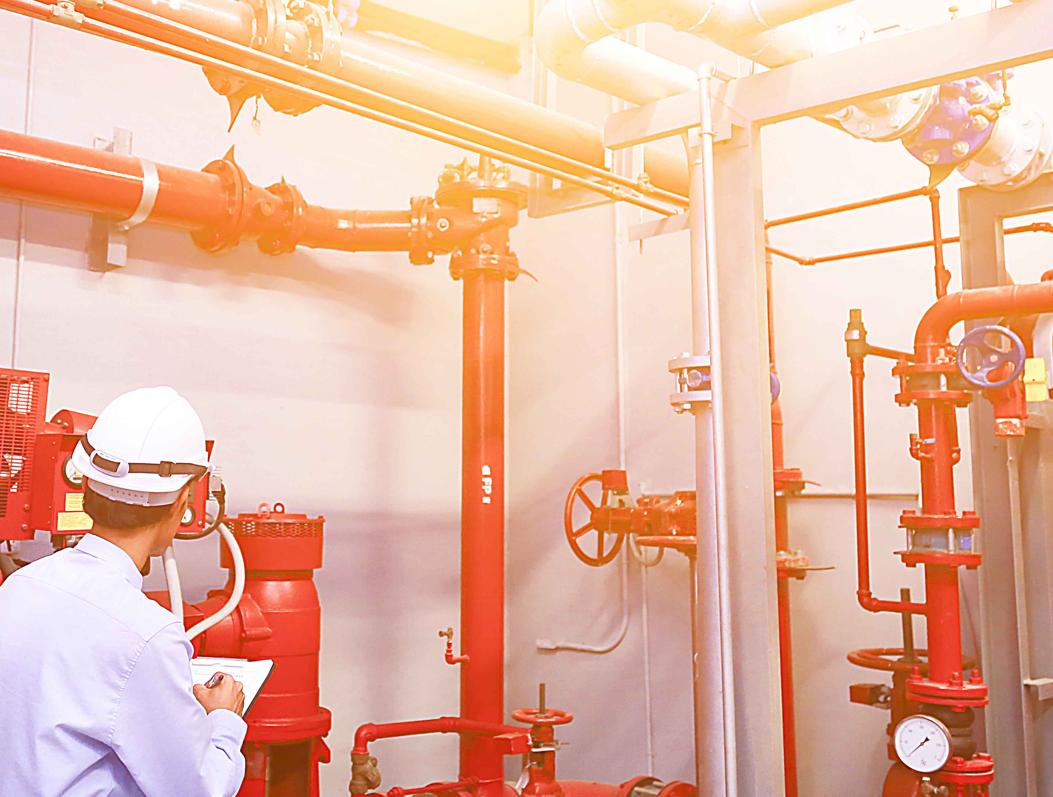 Inspectionsqsm Forest Security