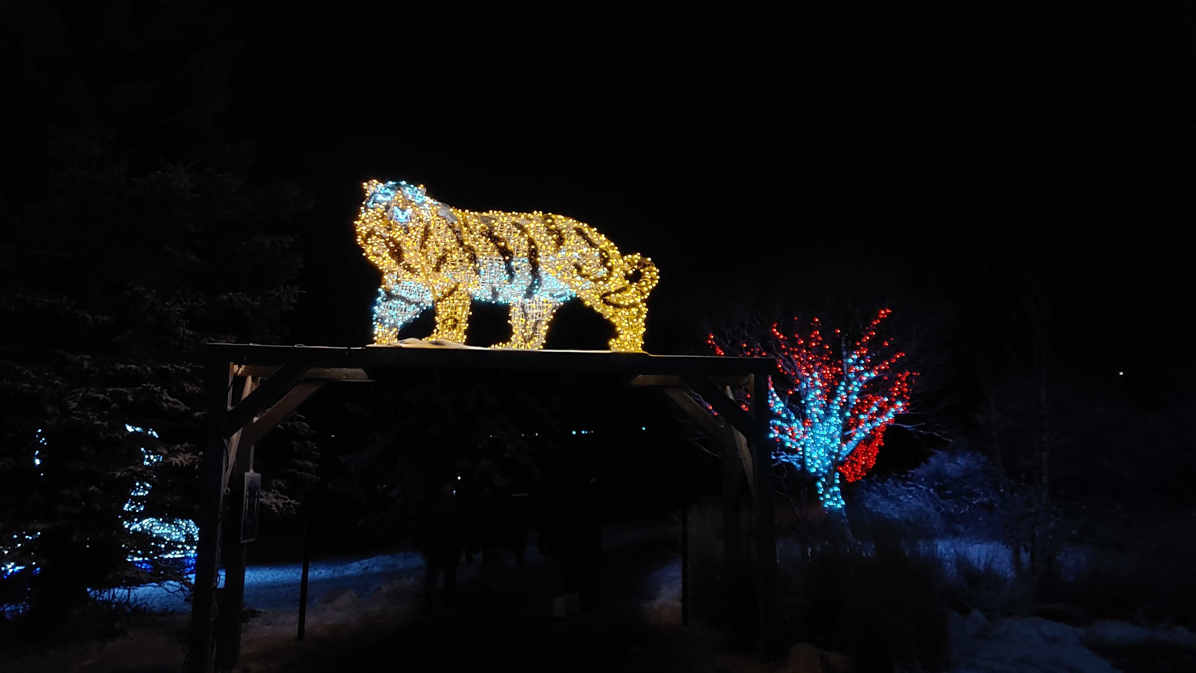 Hill Zoo Christmas Lights Display ForesttoHub