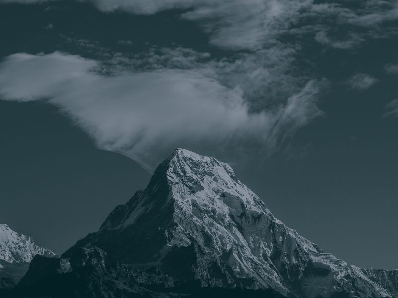 Monochrome vs Black & White FOREVER Yours