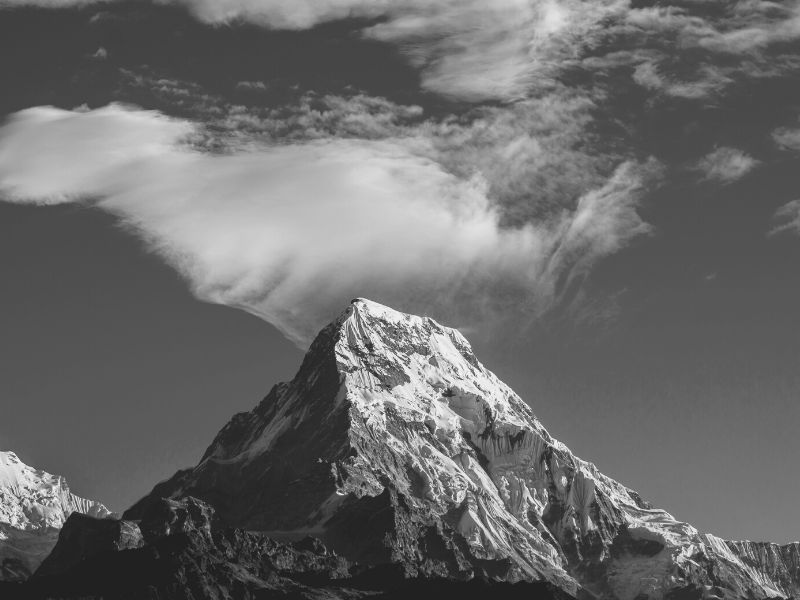 Monochrome vs Black & White FOREVER Yours