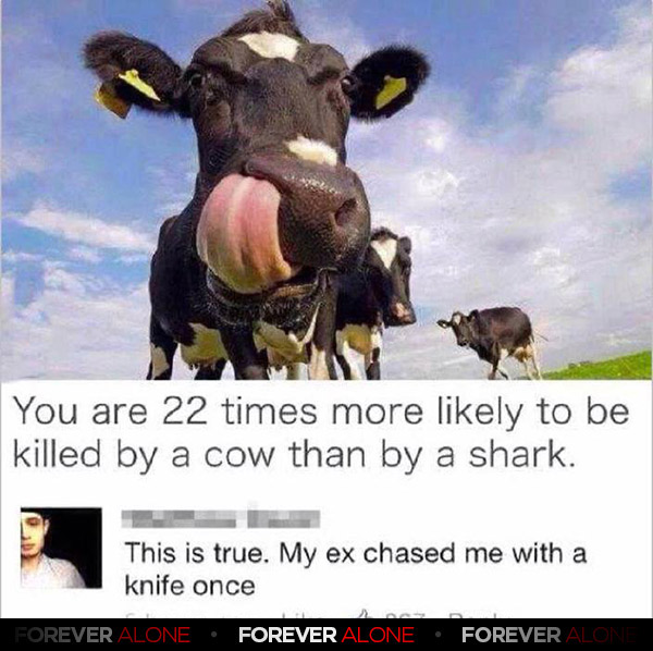 Killer Cows Forever Alone Forever Alone