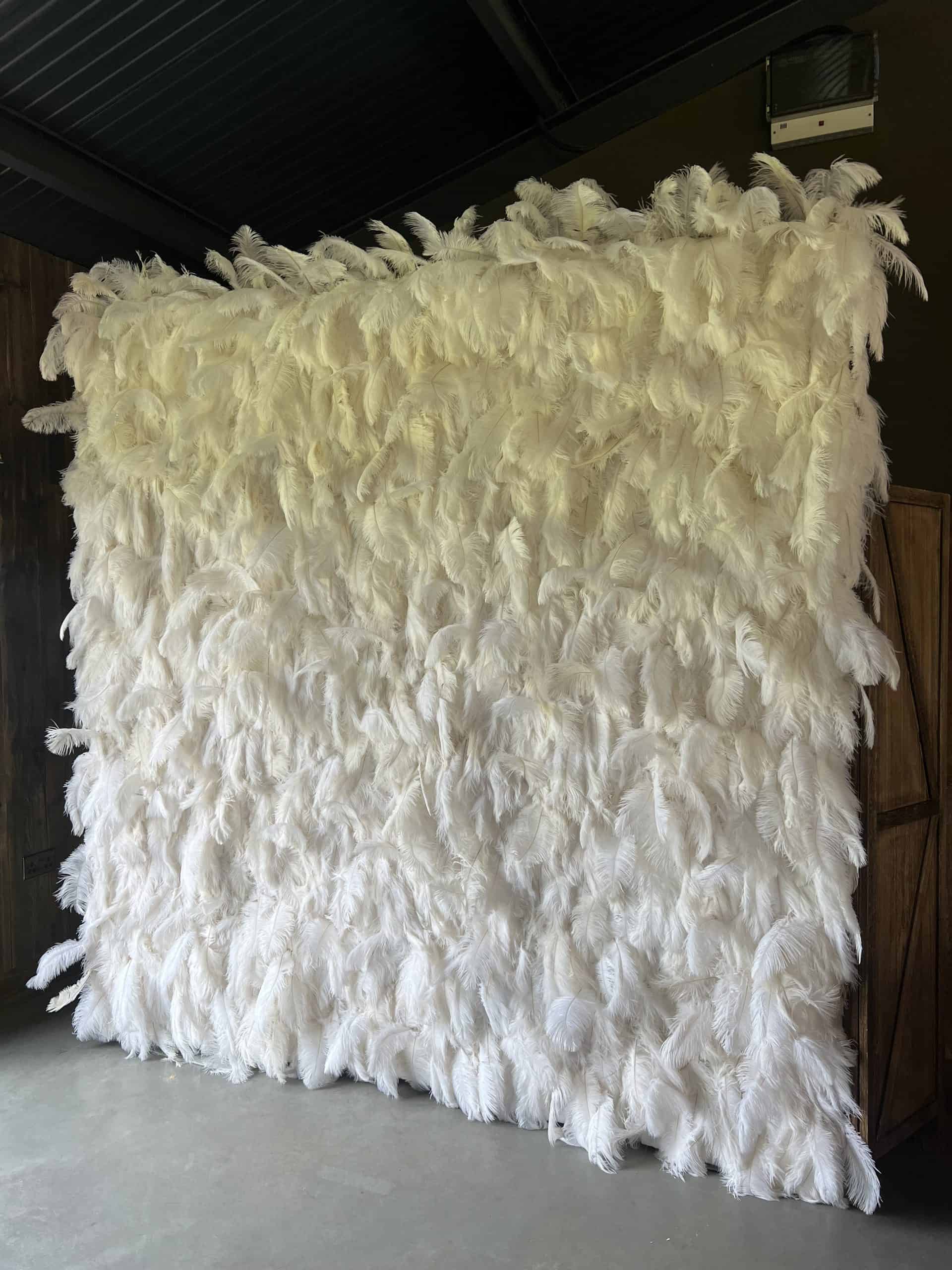 Feather Wall hire