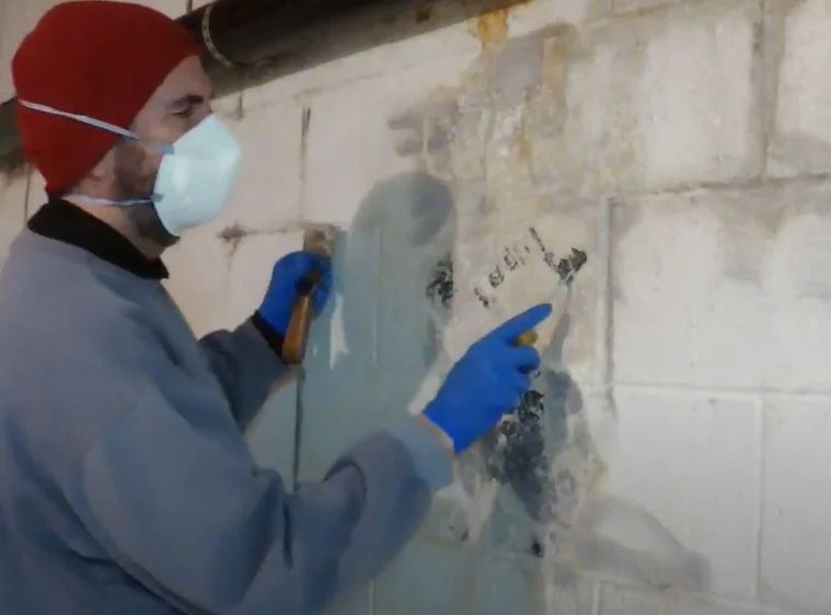How To Remove White Mildew From Cement Walls In Basement? DIY Forever Architect