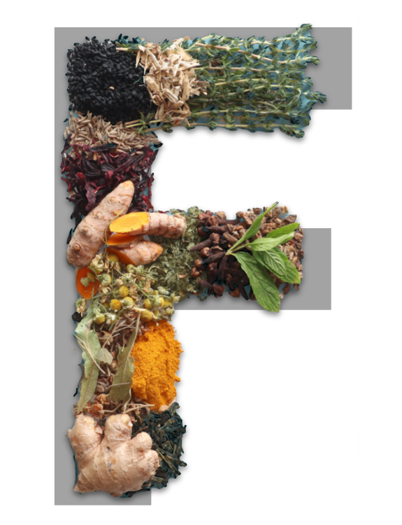 The Forever Dog Life Book Rodney Habib And Dr. Karen Becker