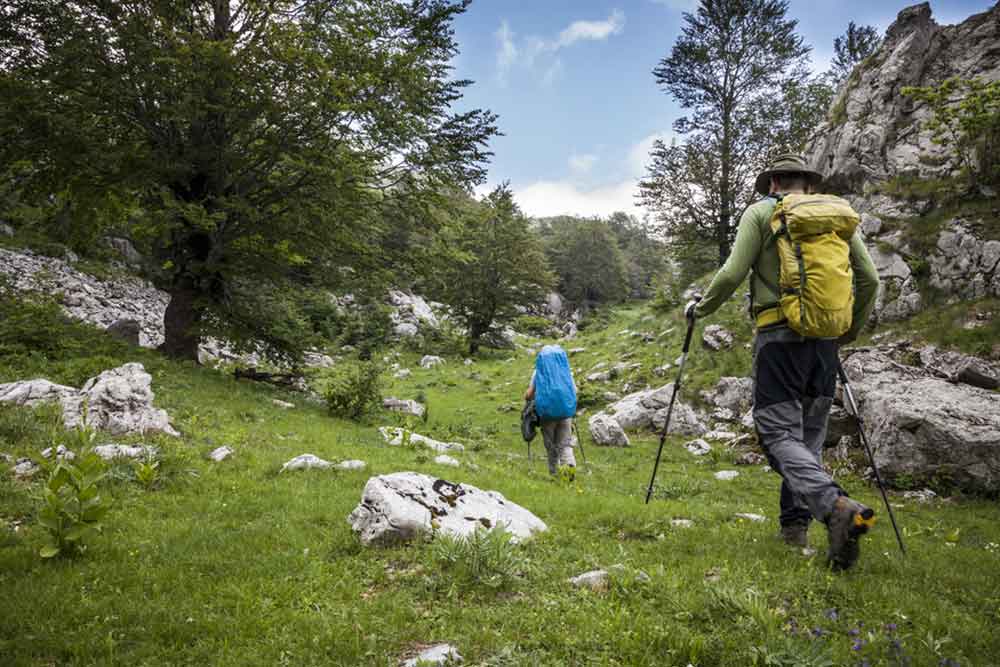 Exercise is Medicine Summary of the American College of Sports