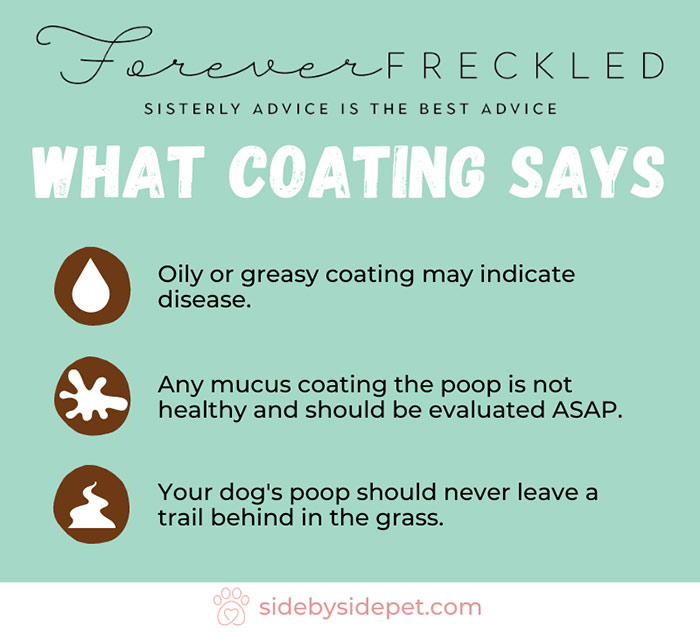 Share Your Thoughts Cancel reply