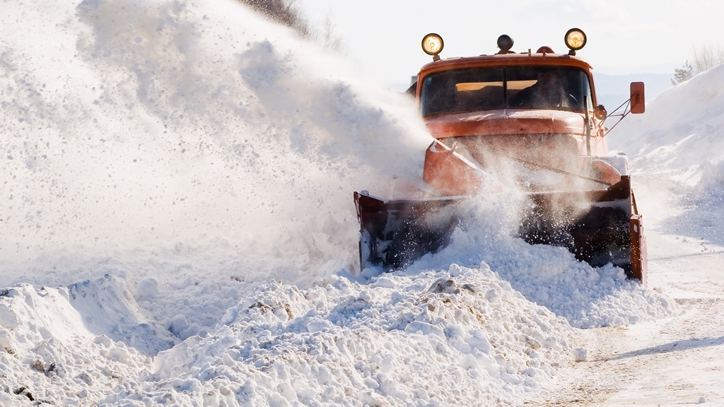 Residential and Commercial Landscape Services in Brampton