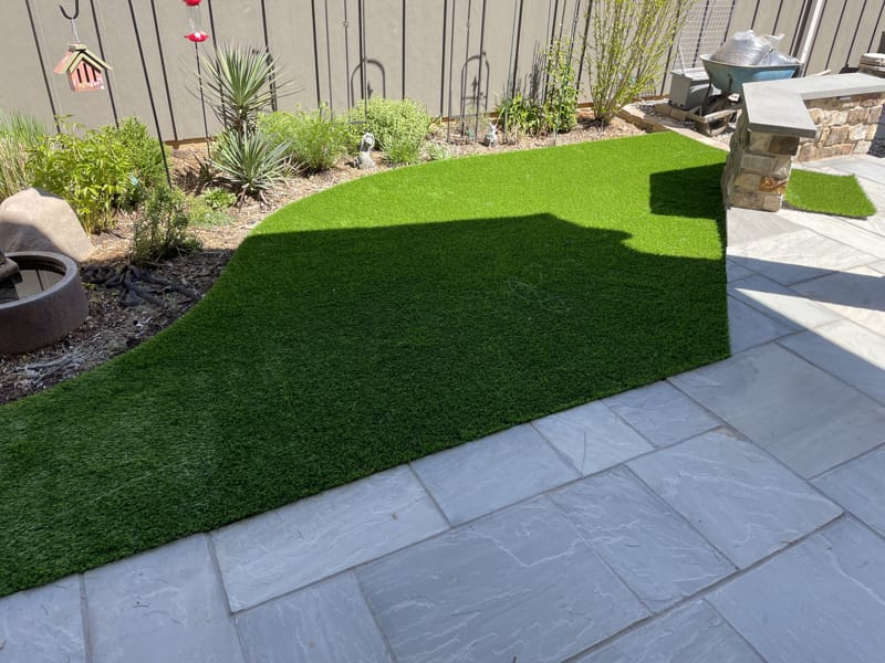 Landscape Grass, Charlotte, NC ForeverLawn Charlotte