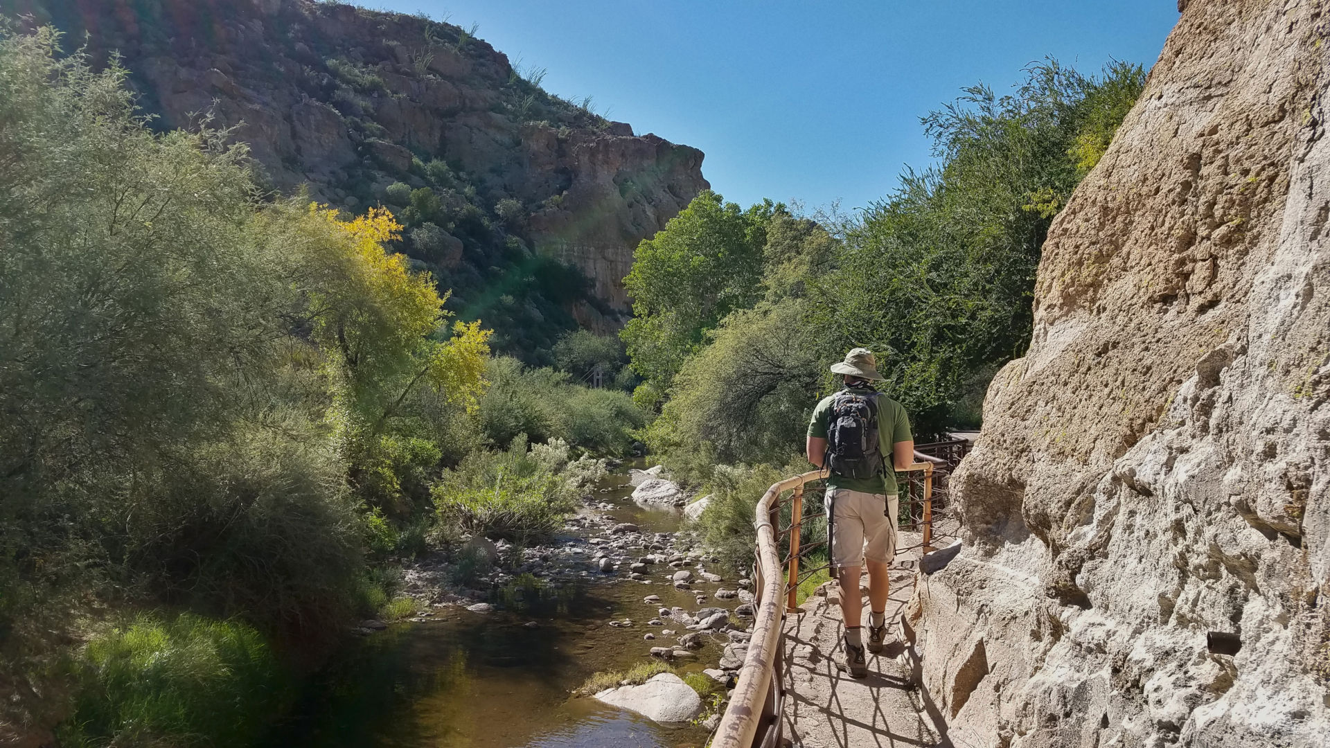 Top 5 Reasons to Visit Boyce Thompson Arboretum Forever Sabbatical