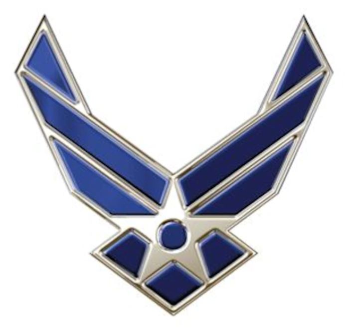 2.8b The Air Force Symbol Forever Wingman