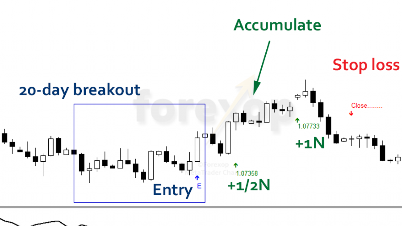 Trigger Pro Forex Trading System Forex Trading With 300