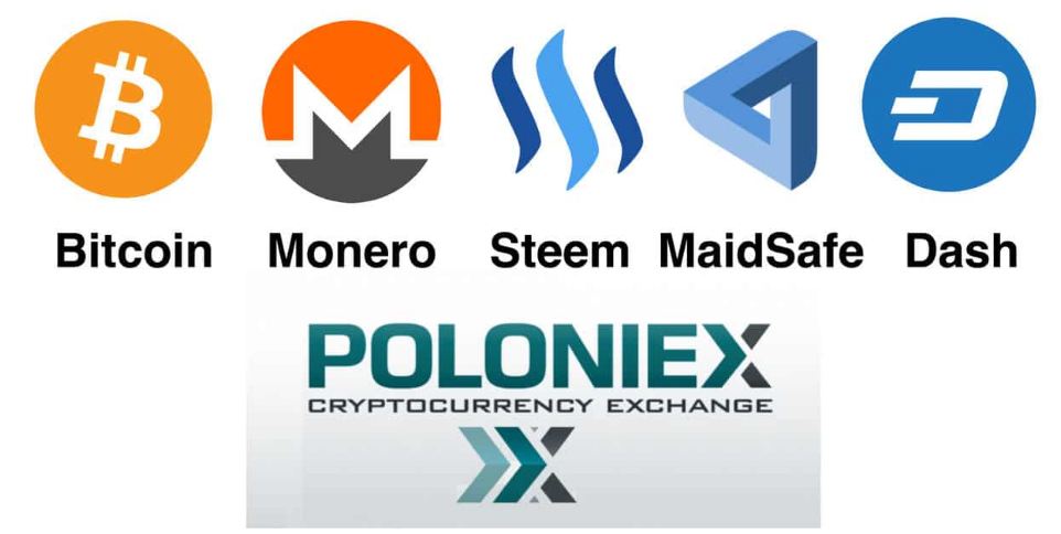 Top Profitable best cryptocurrency to invest in 2019 long term Forex Pops