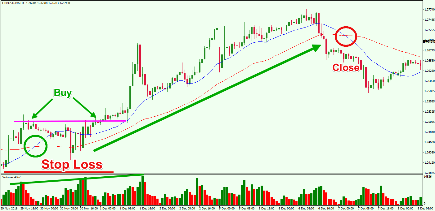 Indicators FX Trading Strategy Forex Training Group