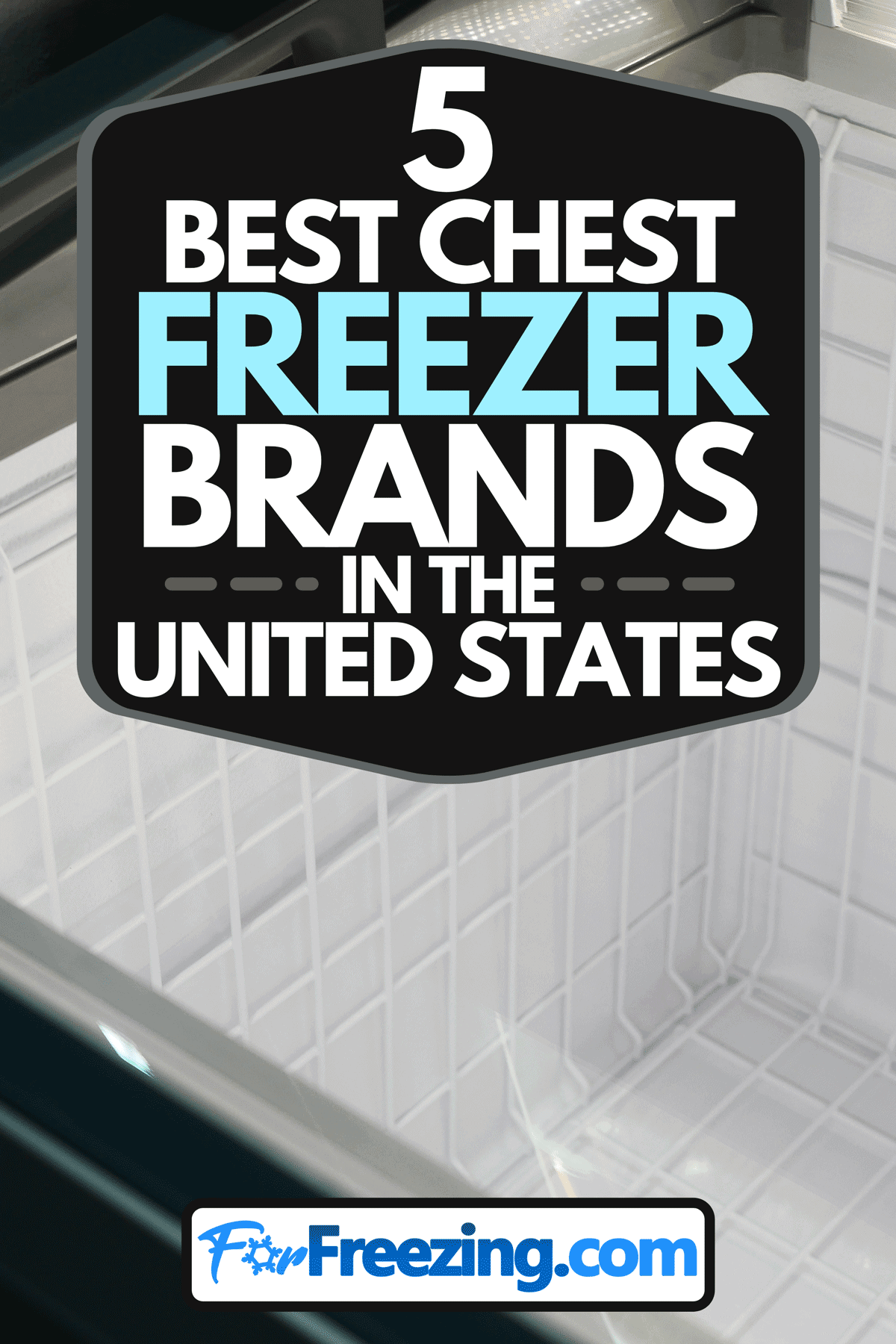 5 Best Chest Freezer Brands In The US