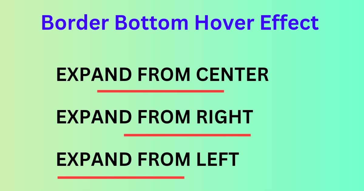 How to Create Border Bottom Hover Effect in CSS