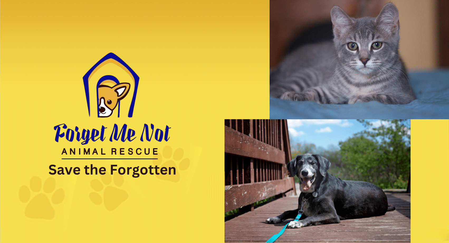 Me Not Animal Rescue of Will County