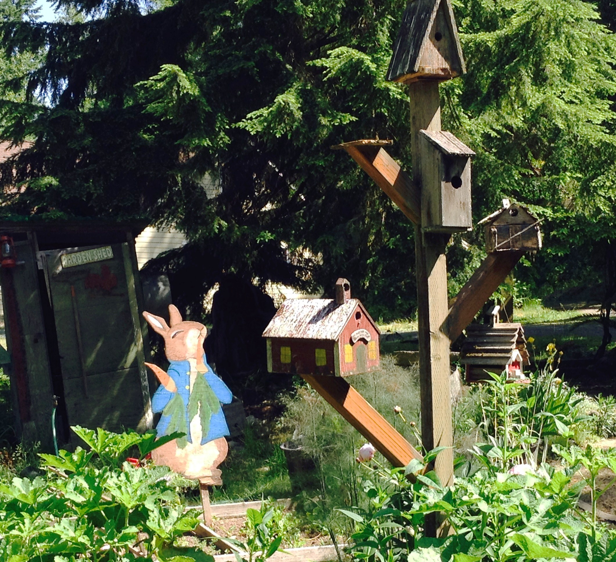 My Garden of Weeden The perfectly imperfect garden Me Not