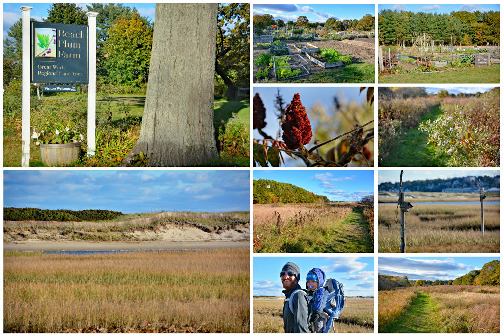 Things to Do in Ogunquit Maine A Travel Guide