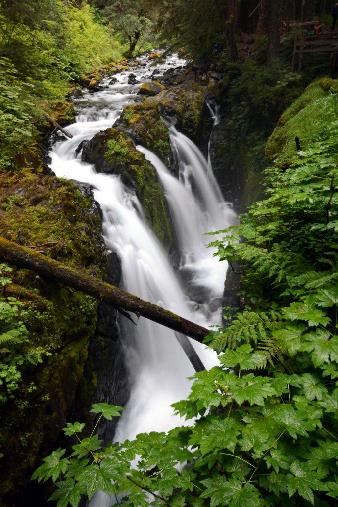 Hiking to Sol Duc Falls Someday