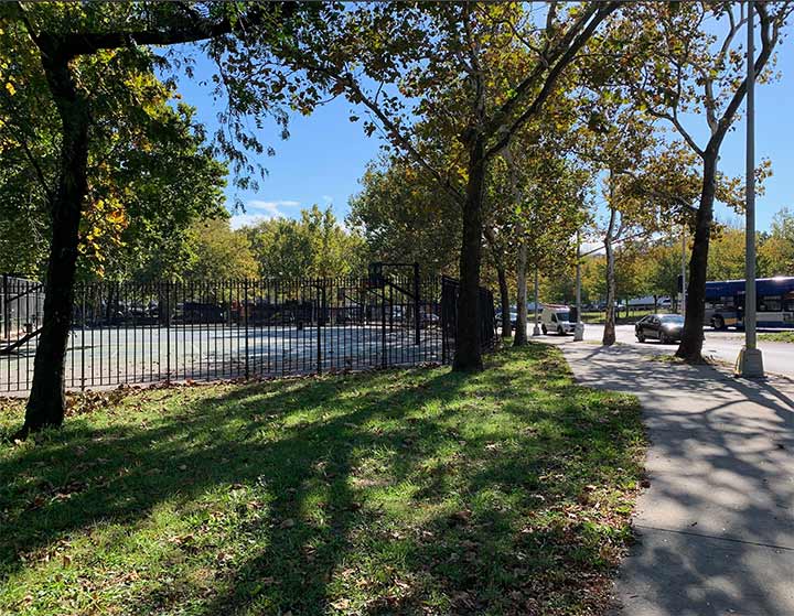 Bronx River Parkway Surprise New York