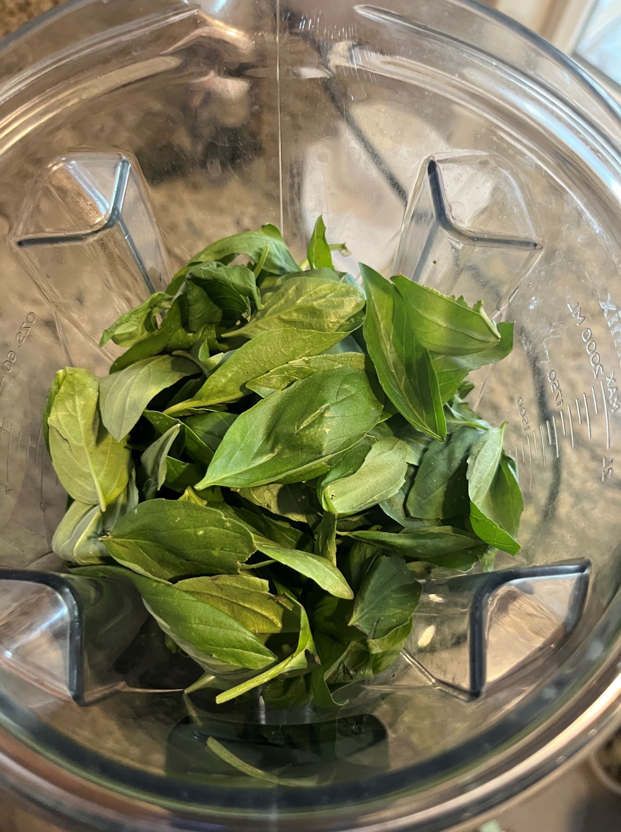 Freezing Basil in Olive Oil Fork Lore