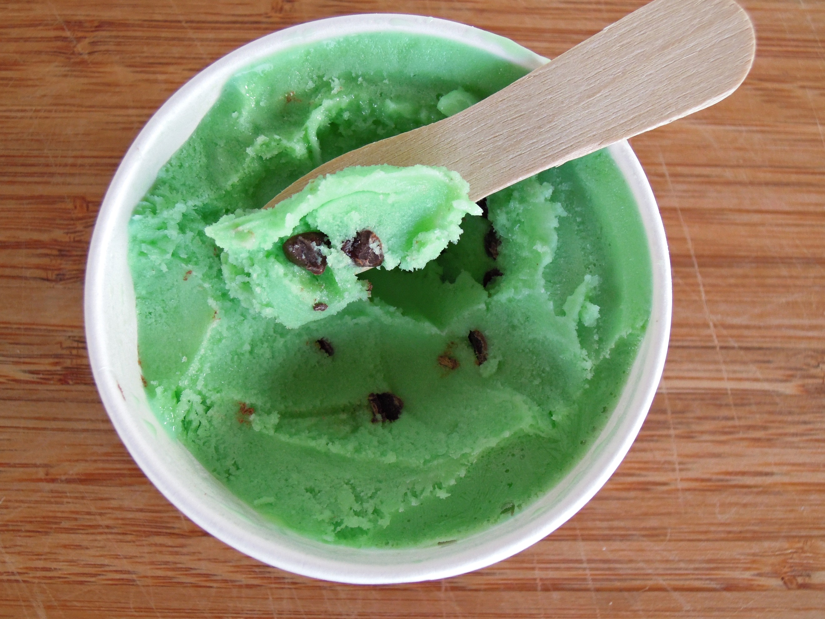 Vegan Mint Chocolate Chip Ice Cream Fork and Beans