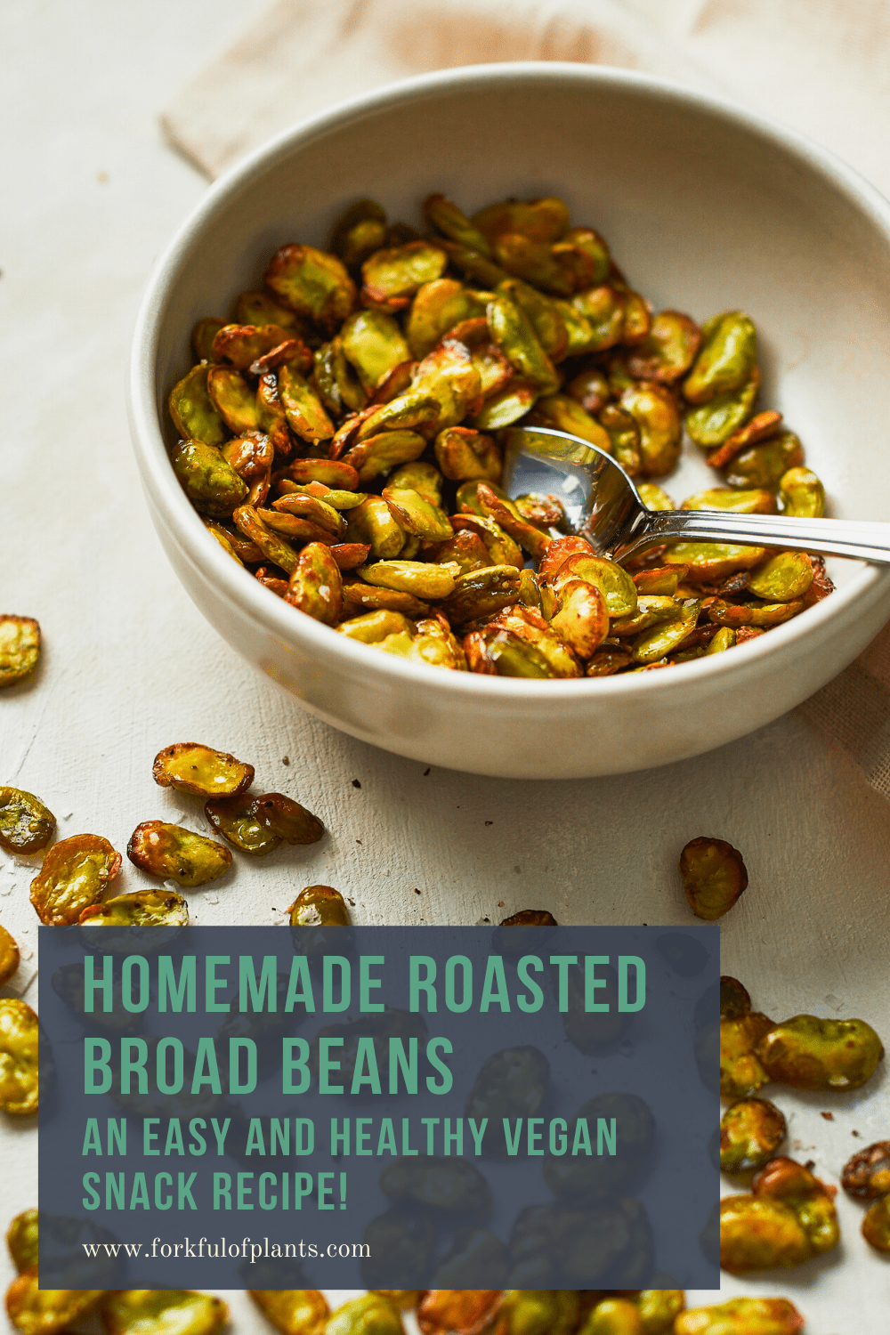 Homemade Roasted Broad Beans Recipe Forkful of Plants