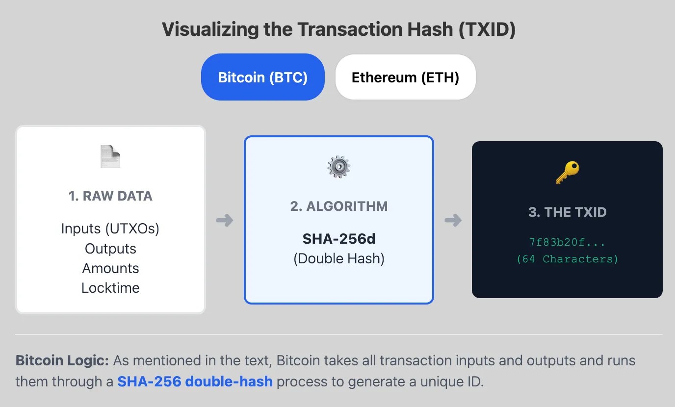 Transaction Bitcoin : comment la lire et la suivre Transaction Bitcoin : comment la lire et la suivre
