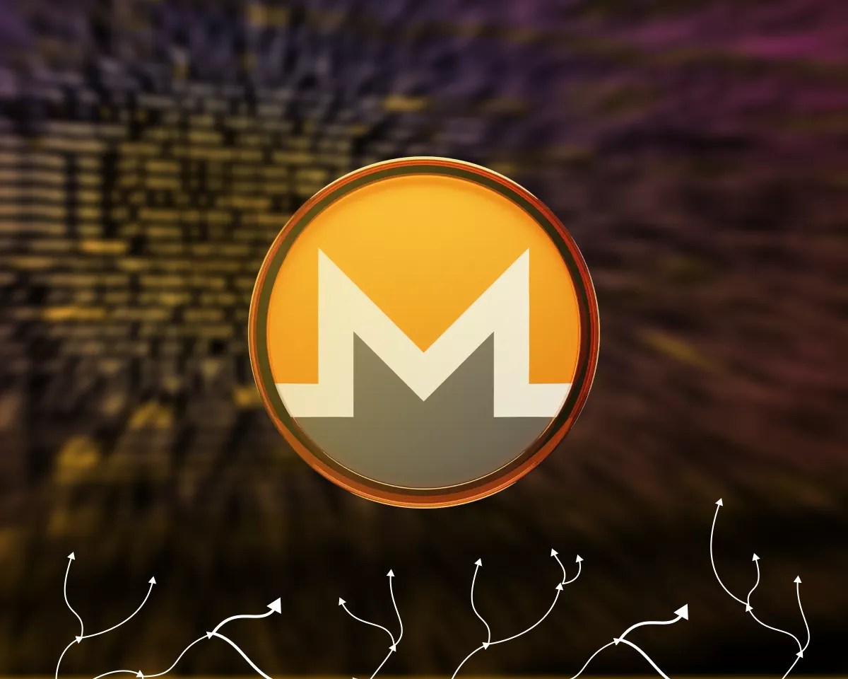 Les radiations massives renforcent le monopole de Monero sur le darknet Les radiations massives renforcent le monopole de Monero sur le darknet