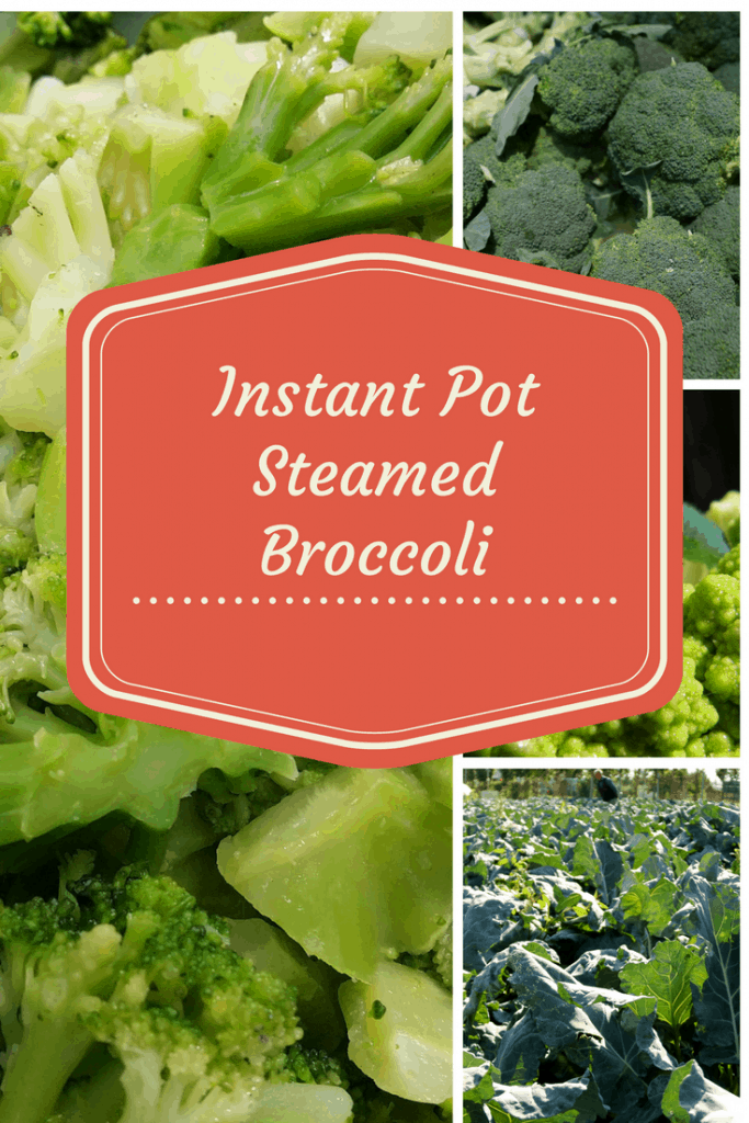 Instant PotPressure CookerSteamed Broccoli