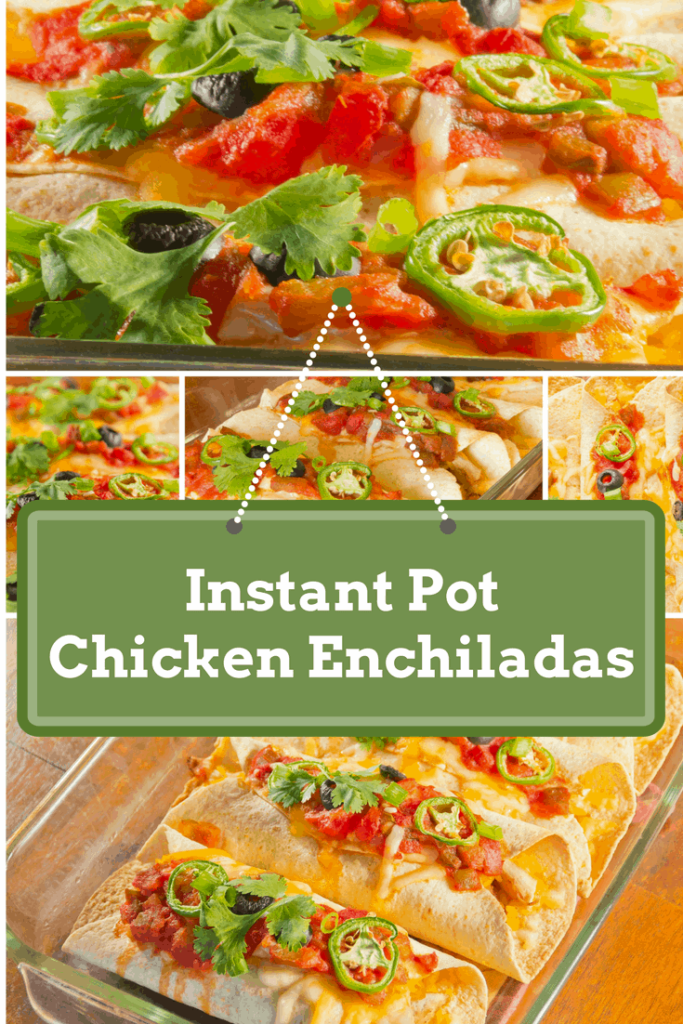 Easy As 123Instant Pot Chicken Enchiladas